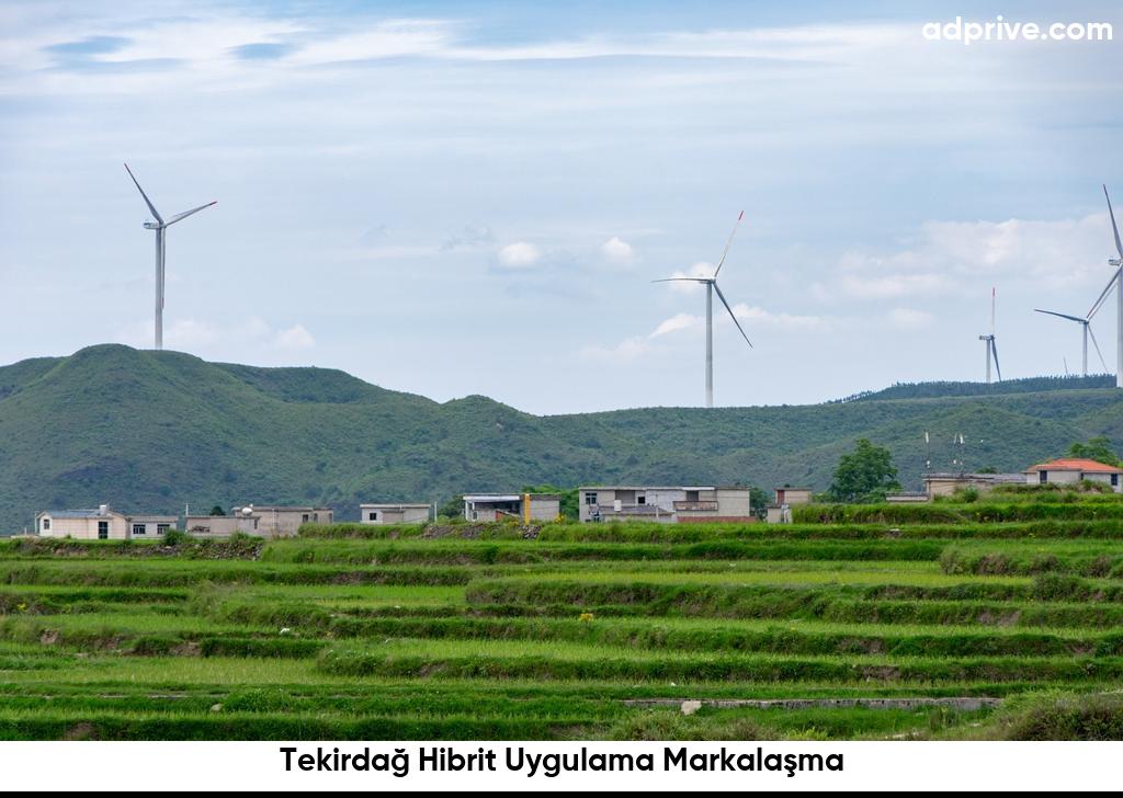 Tekirdag Hibrit Uygulama Markalasma6