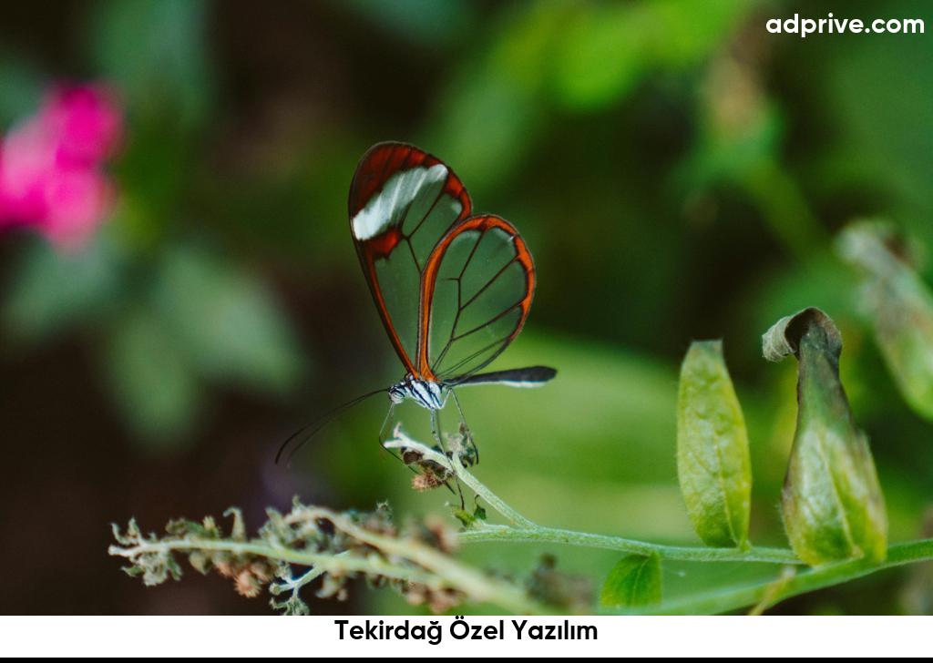 Tekirdag Ozel Yazilim6