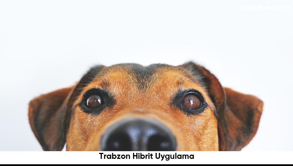 Trabzon Hibrit Uygulama6