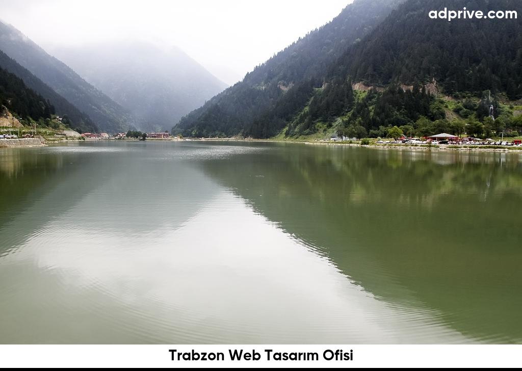 Trabzon Web Tasarim Ofisi6