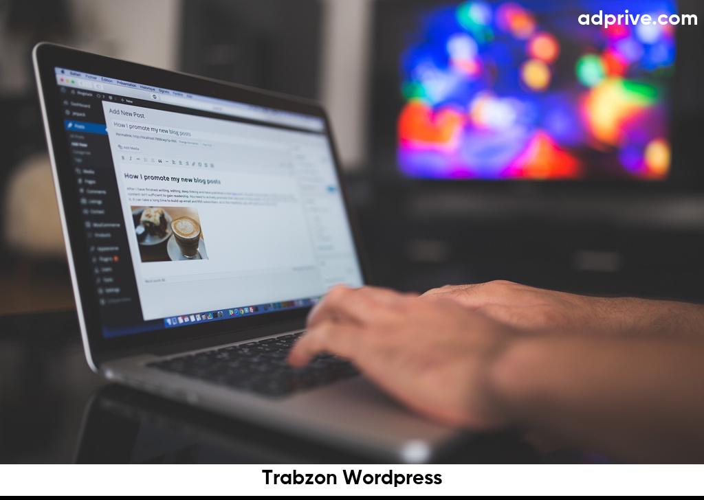 Trabzon Wordpress6