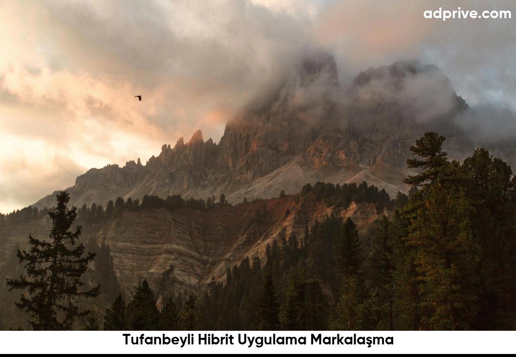 Tufanbeyli Hibrit Uygulama Markalasma6