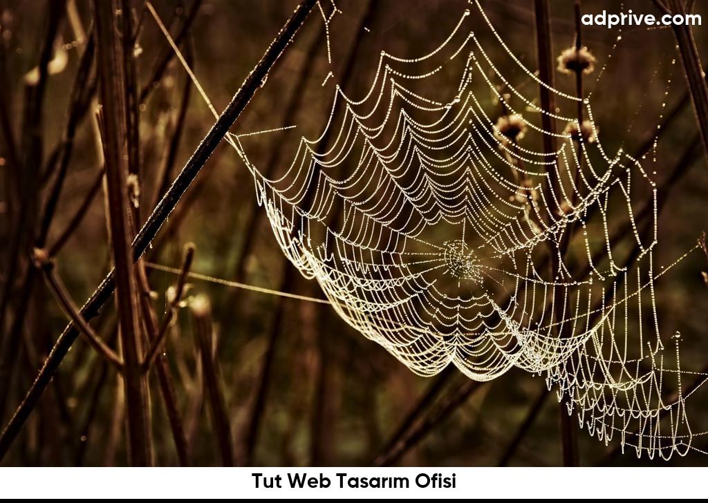 Tut Web Tasarim Ofisi6