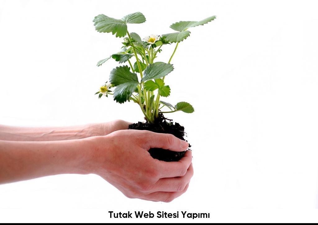 Tutak Web Sitesi Yapımı6