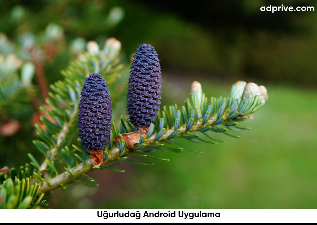 Uğurludağ Android Uygulama6