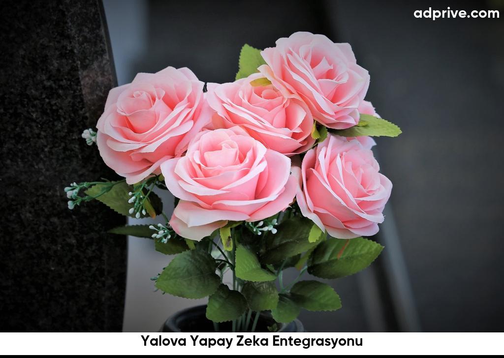 Yalova Yapay Zeka Entegrasyonu6