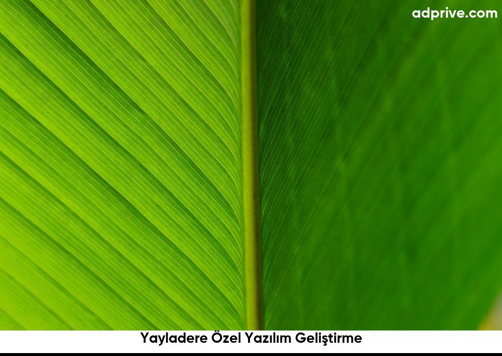 Yayladere Özel Yazılım Geliştirme6