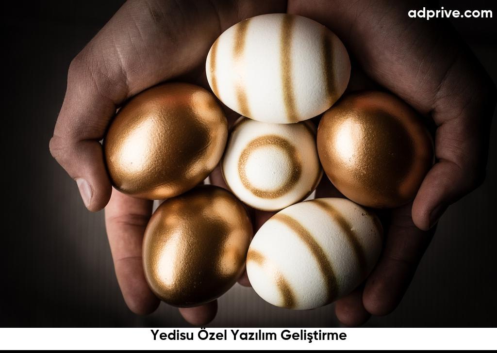 Yedisu Özel Yazılım Geliştirme6