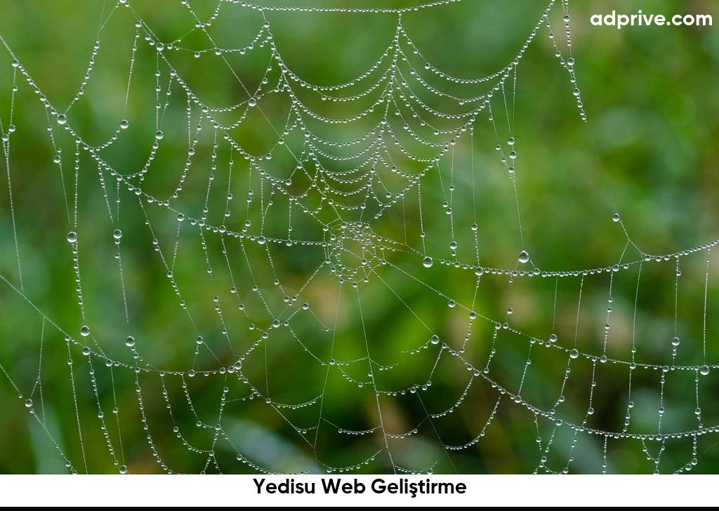 Yedisu Web Geliştirme6