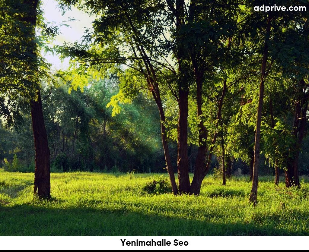 Yenimahalle Seo6