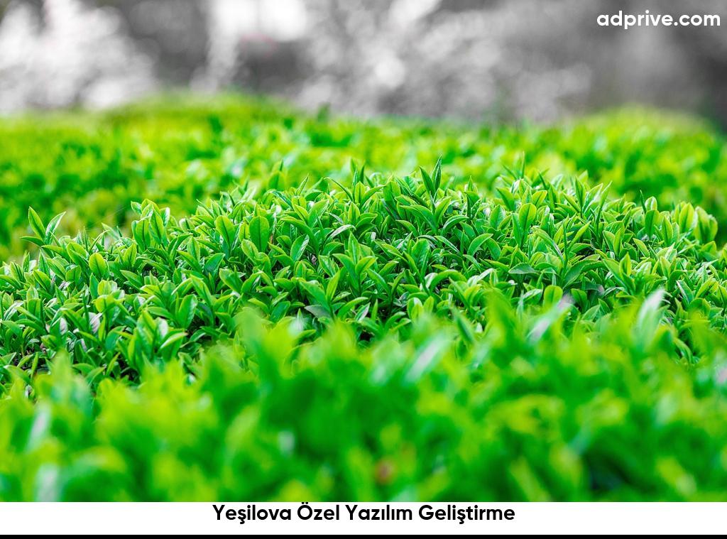 Yeşilova Özel Yazılım Geliştirme6