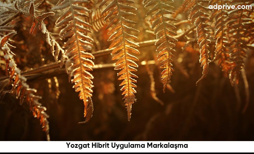 Yozgat Hibrit Uygulama Markalasma6